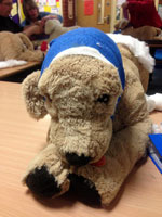 A bandaged stuffed dog toy